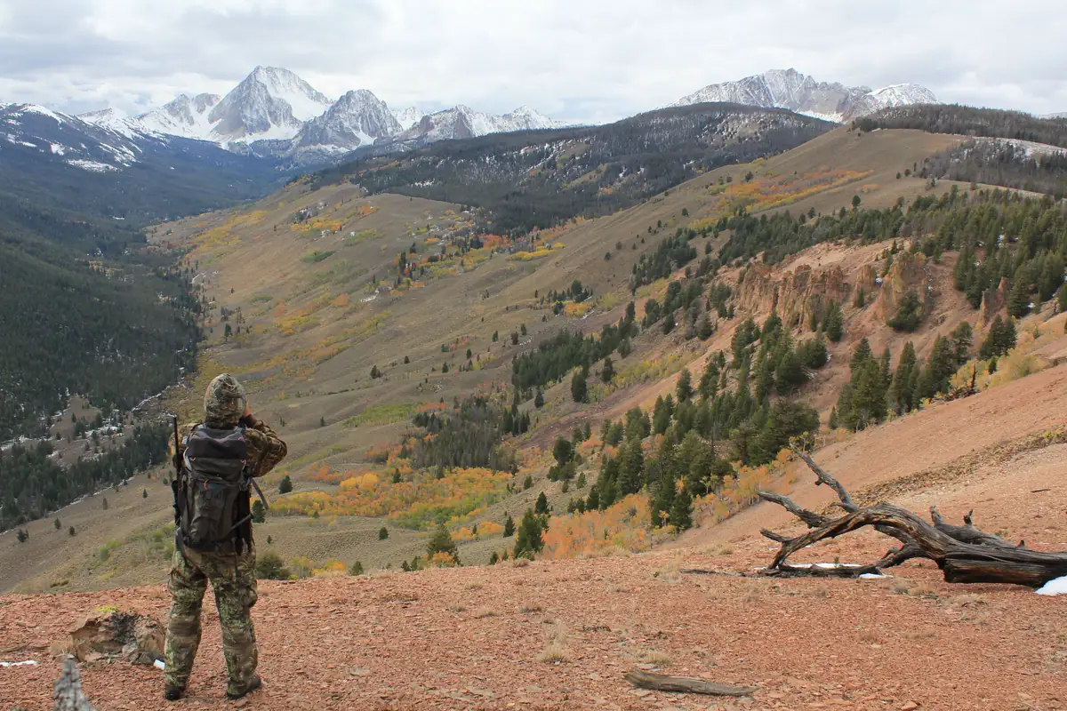 Hunter glassing a wide mountain basin with binoculars below snow-capped peaks