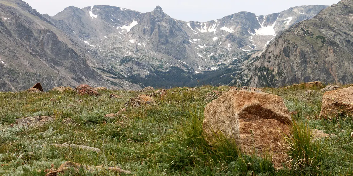 Alpine tundra meadow and granite boulders below high peaks in Rocky Mountain National Park, Colorado